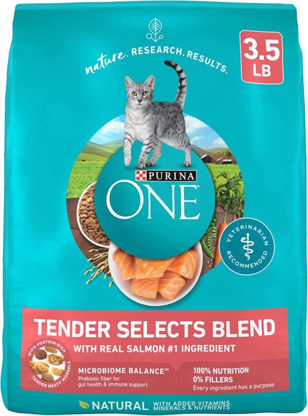 Purina ONE Natural Dry Cat Food - Tender Selects Blend with Real Salmon, 7 lb Bag