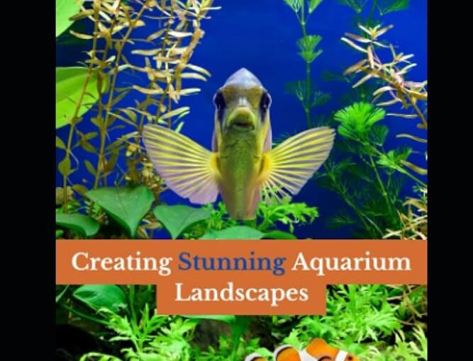 Aquascaping Tips for a Visually Appealing Aquarium