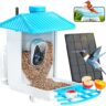 Choosing the Right Bird Feeder for Wild Bird Watching