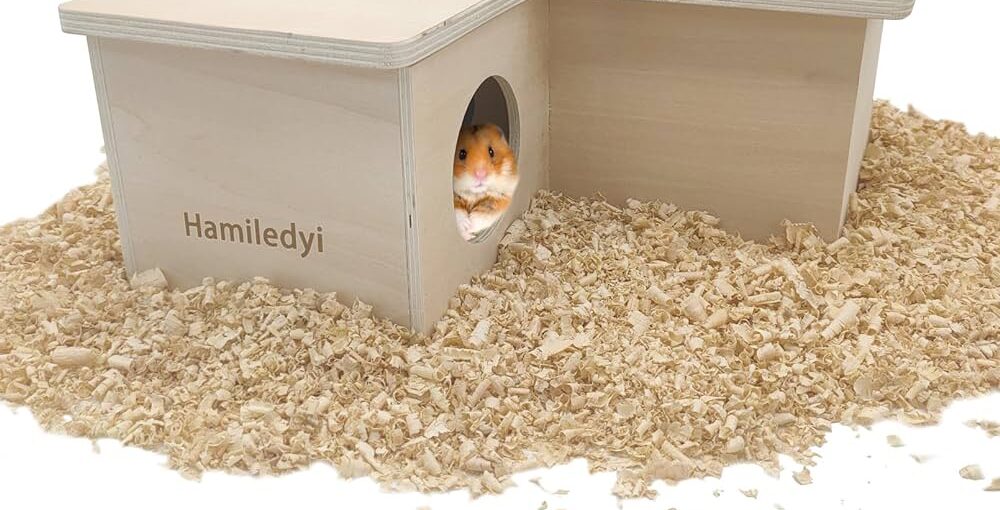 Diy Hideouts for Small Animals in a Multi-Pet Household